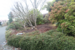 Before: a shot of the property before landscaping
