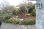 Before: a shot of the property before landscaping